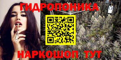 стафф Донецк