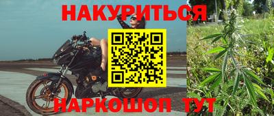 стафф Донецк