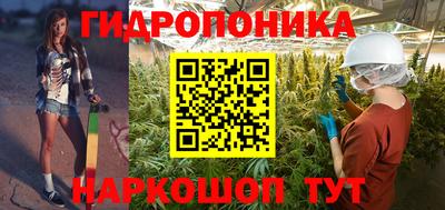 стафф Донецк