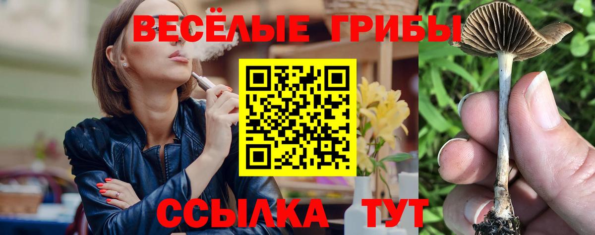 Галлюциногенные грибы Psilocybe Минеральные Воды